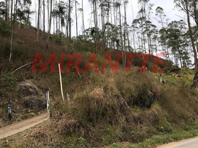 Terreno de 440m² com 4 quartos