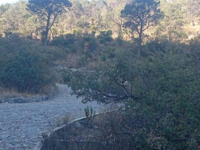 Terreno de 45000 m² en venta en Arteaga