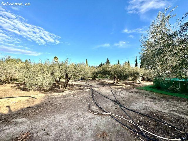 TERRENO DE 4500M2 CON DOS CASAS PARA REFORMAR CADA UNA CON SU ESCRITURA, LO VAS A DEJAR PASAR!