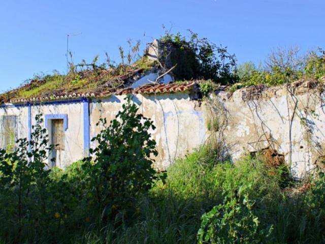 Terreno de 450 m2 Grândola, Setúbal