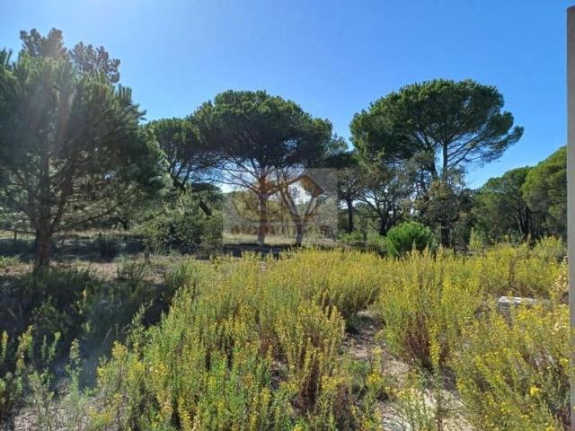 Terreno de 450 m2 Grândola, Portugal