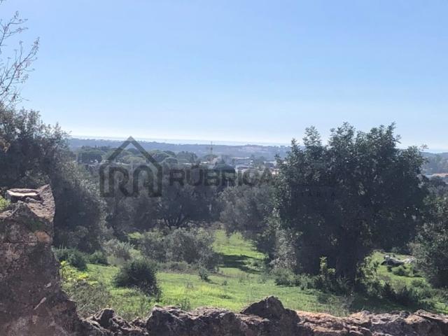 Terreno de 450 m2 à venda Loulé, Faro