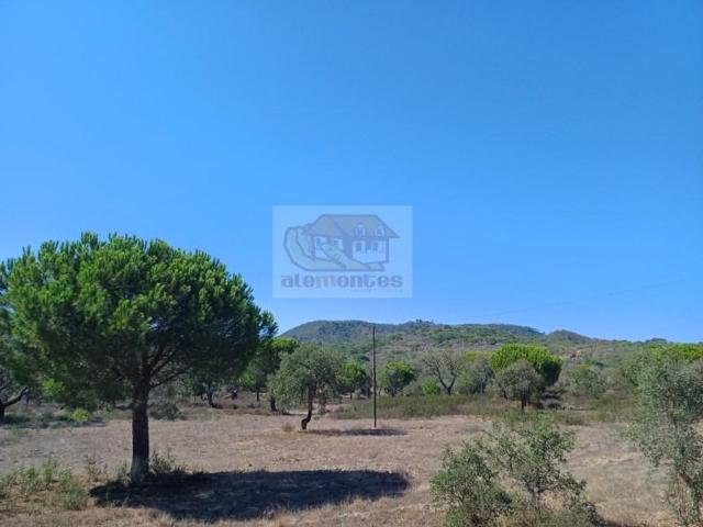 Terreno de 45 m2 Grândola, Setúbal