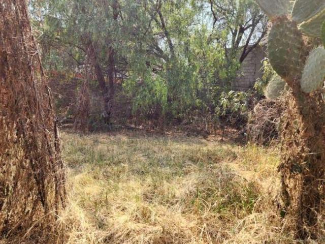 Terreno de 460 m² de superficie en venta en Ejidal Emiliano Zapata