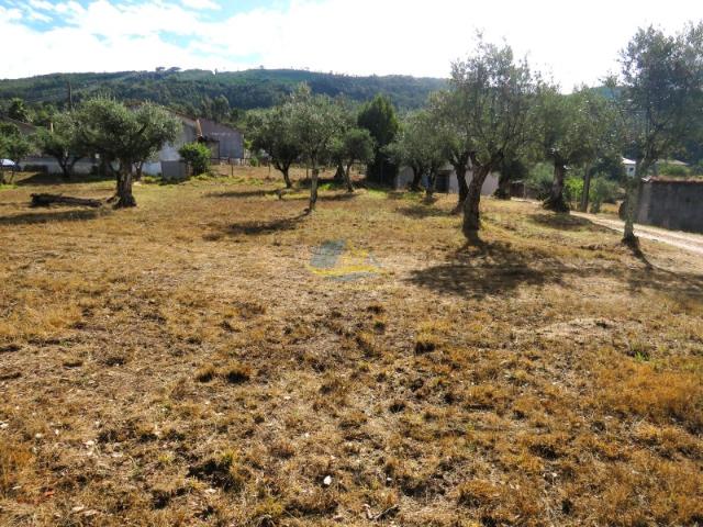 Terreno de 460m² com licença de construção aprovada para uma moradia isolada com 4 quartos e anexo