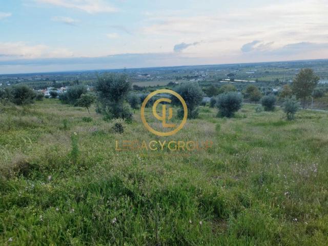 TERRENO DE 46.626m2 EM REDONDO