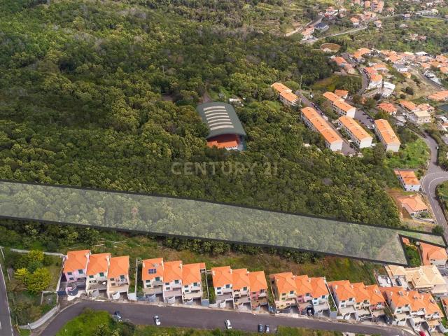 Terreno de 4734m² com Vista Mar em Santa Cruz – Madeira