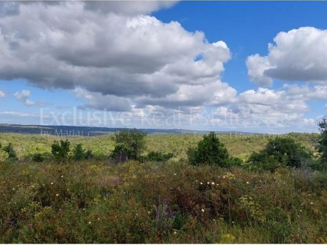 Terreno de 4800000 m2 Santa Margarida da Serra, Grândola, Setúbal