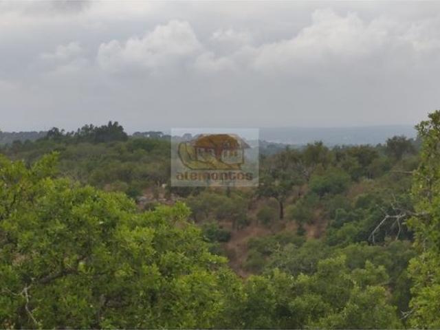Terreno de 4800 m2 à venda Serra de Grandola, Grândola, Setúbal