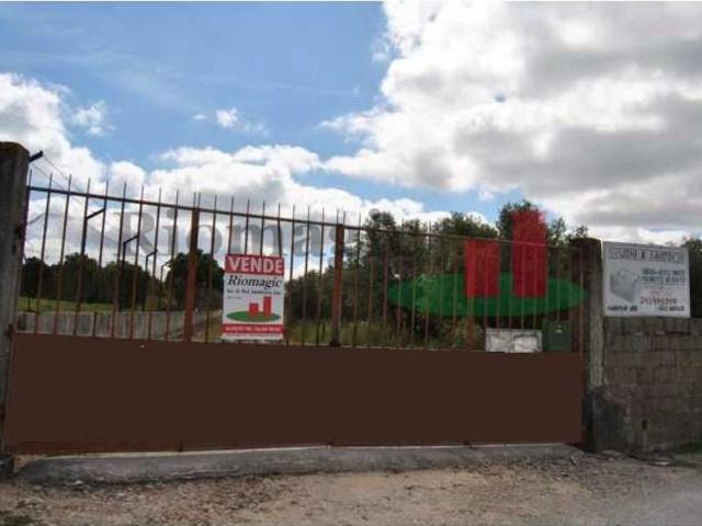 Terreno de 49000 m2 Rio Maior, Santarém