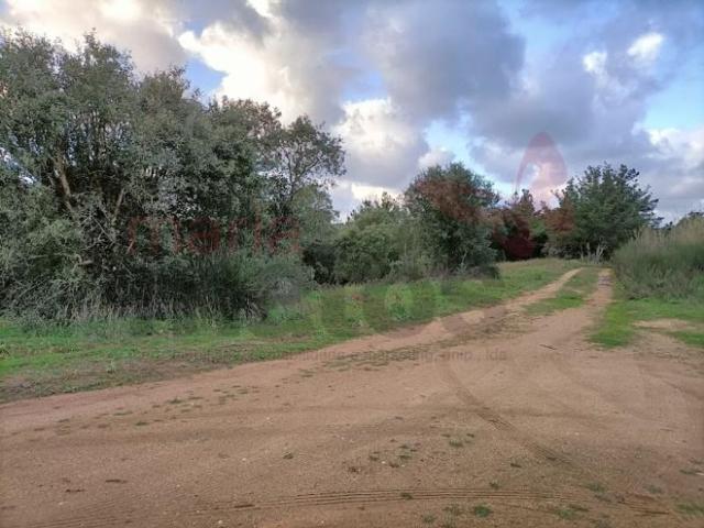 Terreno de 49200 m2 Óbidos, Portugal