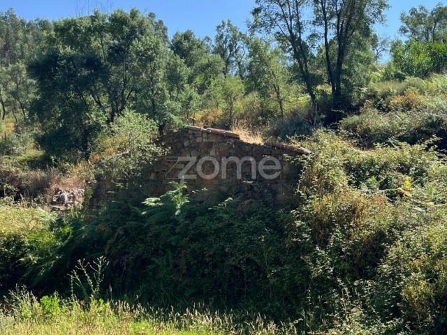 Terreno de 4992m² com Ruína de Pedra em Sertã