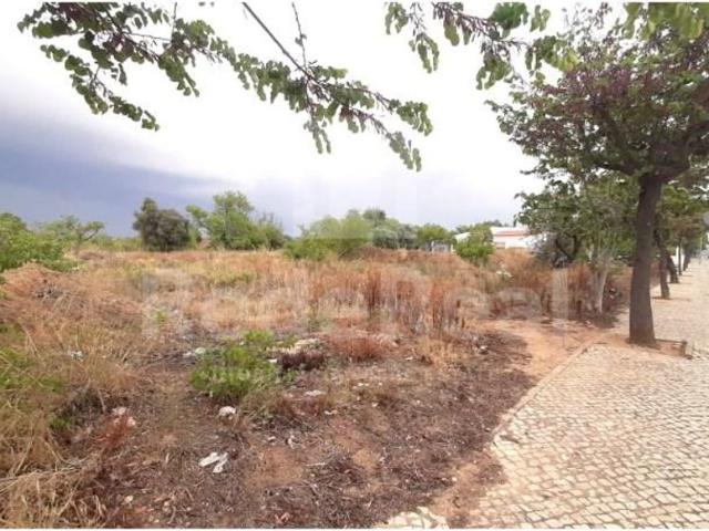 Terreno de 4999 m2 Vale de Serves, Albufeira, Faro