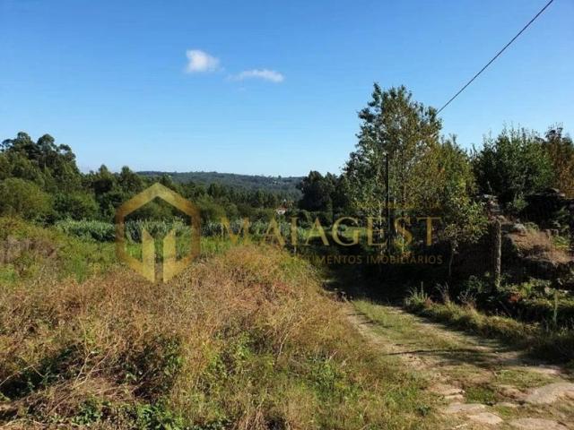Terreno de 40000 m2 à venda Santa Maria da Feira, Aveiro