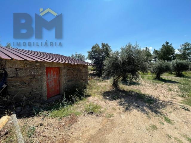 Terreno de 4000m² à Venda em Freixial do Campo