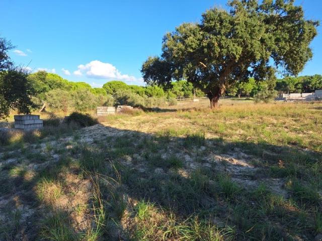 Terreno de 400 m2 à venda Alcácer do Sal, Setúbal