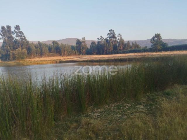 Terreno de 400 m2 à venda Seia, Portugal