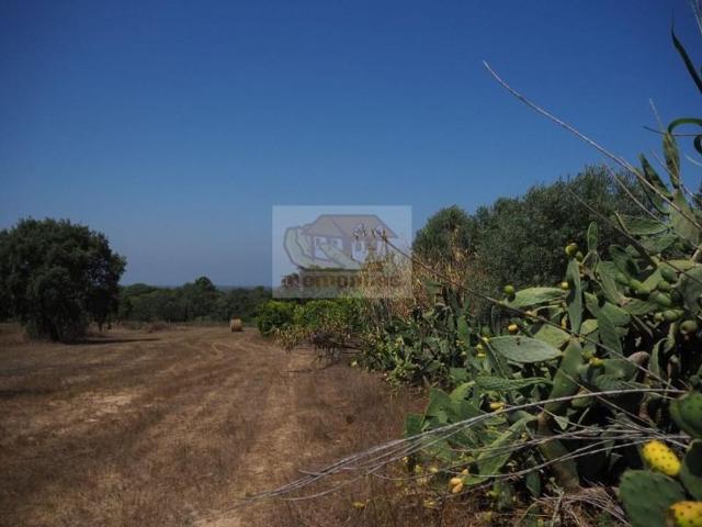Terreno de 400 m2 à venda Melides, Grândola, Setúbal