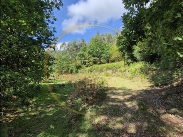 Terreno de 41305 m2 à venda Vila Verde, Braga