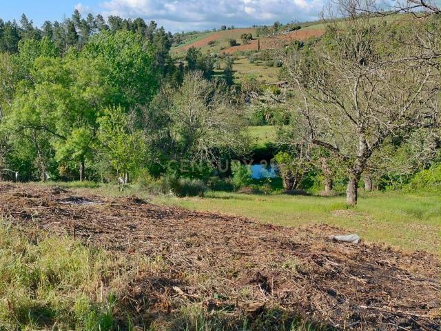 Terreno de 4.500 m² em Meixedo, Bragança — uma oportunidade para um projeto de ecoturismo e turismo de natureza