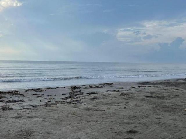 Terreno de 4,502 m2 en venta en Mata de Uva. ALVARADO VER. A PIE DE PLAYA