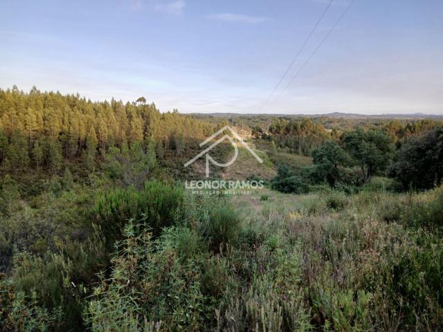 Terreno de 4 Hectares à Venda nas Sarzedas
