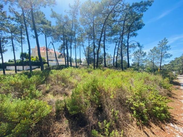 Terreno de 545 m2 à venda Soltroia, Sol Tróia, Grândola, Setúbal