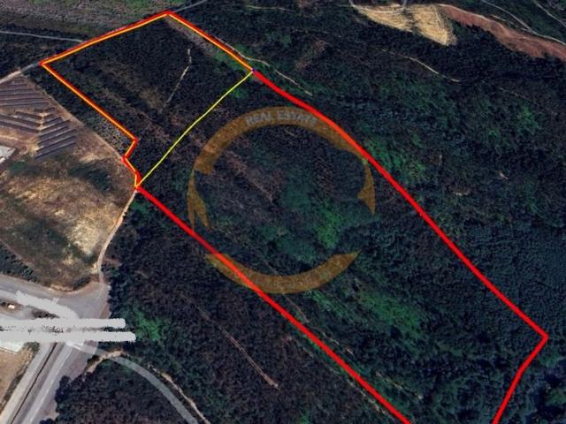 Terreno de 55000 m2 Oliveira de Azeméis, Aveiro