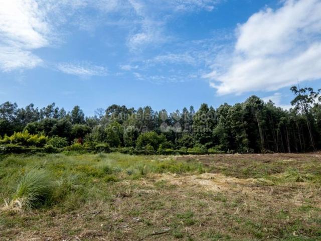 Terreno de 5536 m2 Vila Nova de Gaia, Portugal