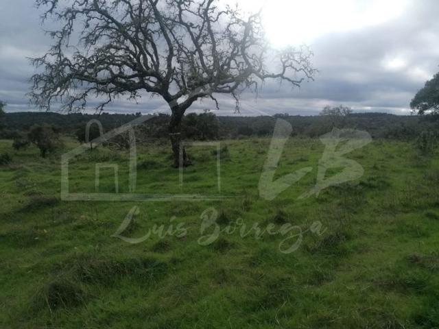 Terreno de 554 m2 à venda Mosqueiroes, Grândola, Setúbal