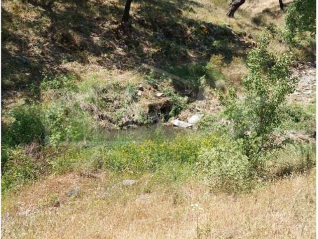 Terreno de 58000 m2 à venda Santa Margarida da Serra, Grândola, Setúbal