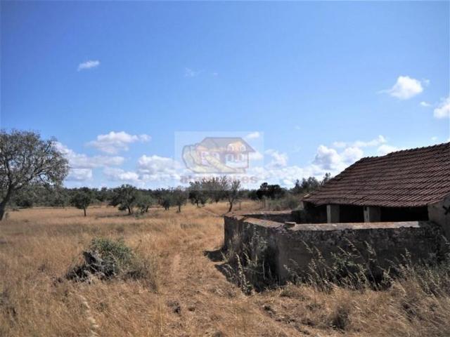 Terreno de 58 m2 à venda Serra de Grandola, Grândola, Setúbal