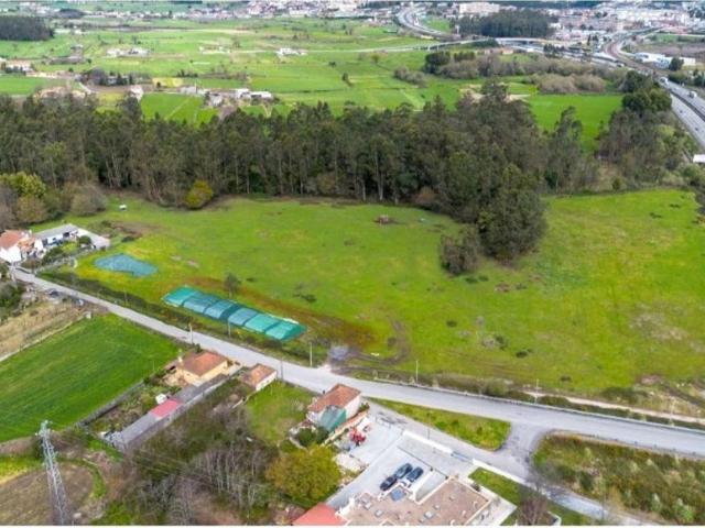Terreno de 59000 m2 Trofa, Portugal