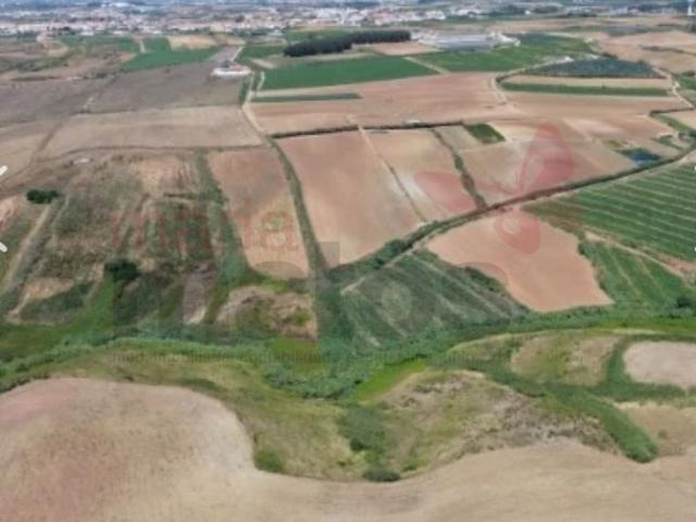 Terreno de 59200 m2 à venda Lourinhã, Lisboa