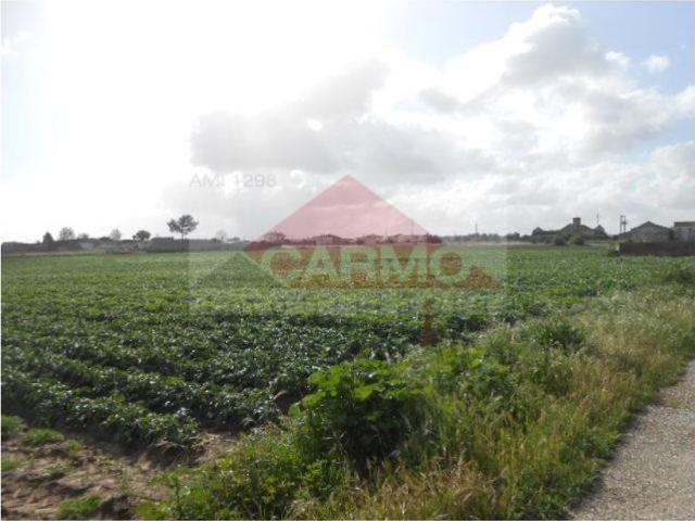 Terreno de 59880 m2 à venda Montijo, Setúbal