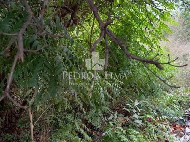 Terreno de 503m² na Vila Mafra