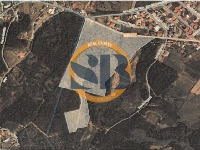 Terreno de 50000 m2 Oliveira de Azeméis, Aveiro