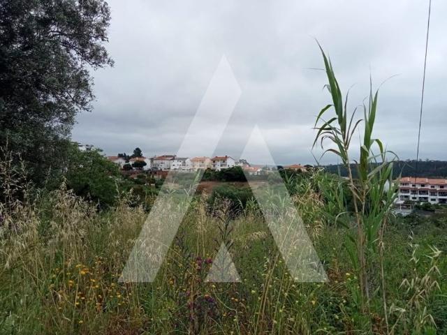 Terreno de 5000 m2 à venda Leiria