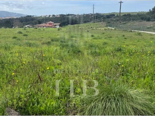 Terreno de 5002 m2 Casal da Granja Sao Martinho, Sintra, Lisboa