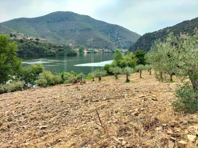 Terreno de 500 m2 Barca de Alva, Figueira de Castelo Rodrigo, Guarda