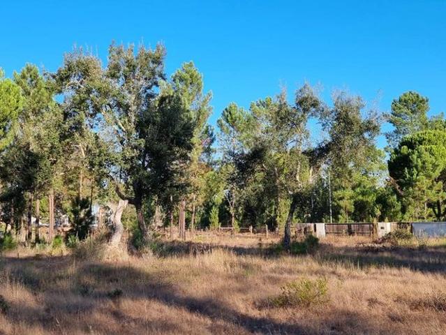 Terreno de 500 m2 à venda Comporta, Portugal