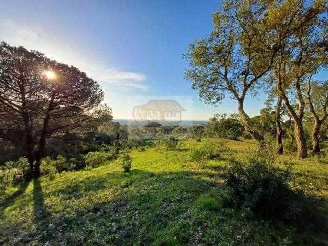 Terreno de 500 m2 Grândola, Setúbal