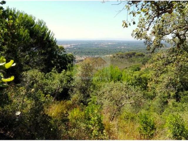 Terreno de 500 m2 à venda Serra de Grandola, Grândola, Setúbal