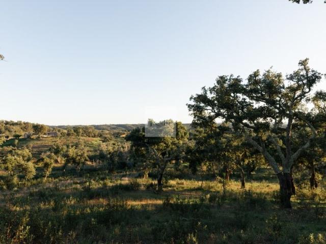 Terreno de 500 m2 Arredores, Santiago do Cacém, Setúbal