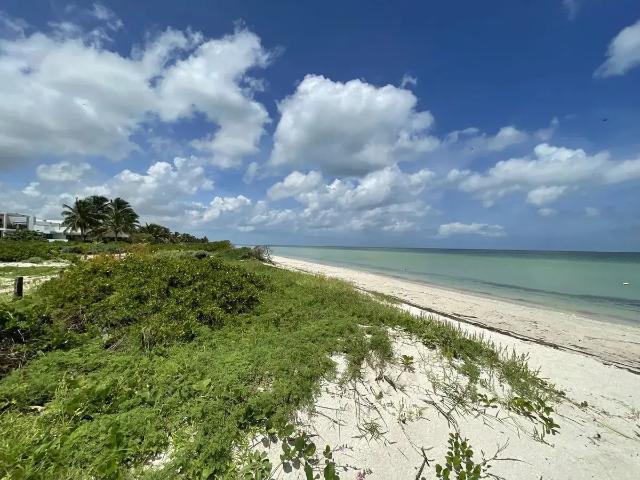 Terreno de 500 m2 en venta en San Benito