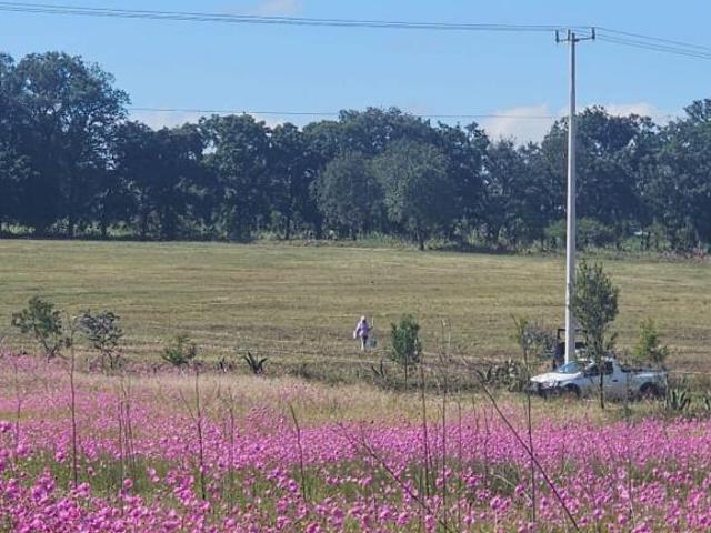Terreno de 500 m2 en venta, Rancho Ojo de Agua