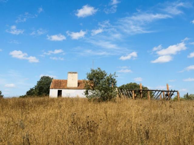 Terreno de 500 m2 Grândola, Portugal