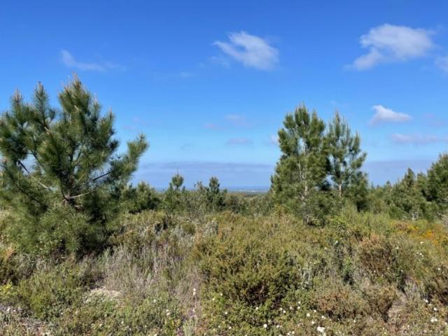 Terreno de 500 m2 Grândola, Portugal