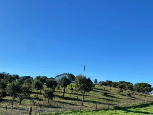Terreno de 500 m2 Grândola, Portugal