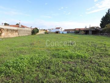 Terreno de 5020 m2 Centro, Golegã, Santarém